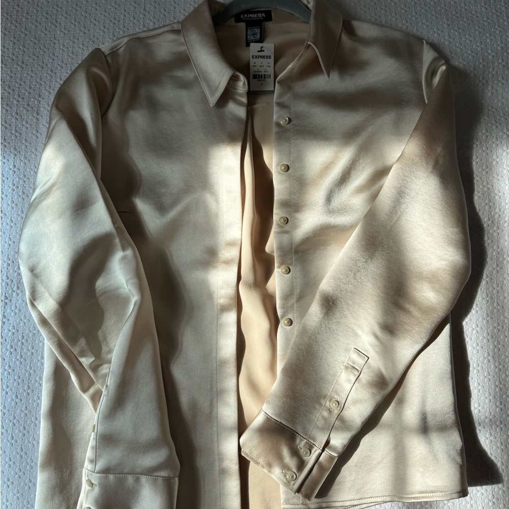 Express Champagne Satin Shirt, Small